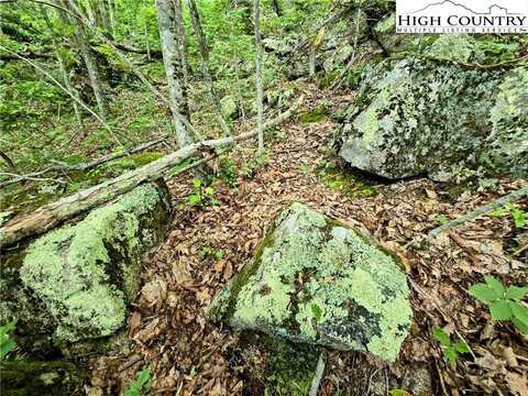 Lot C94 Foxfire Court, Banner Elk, NC 28604