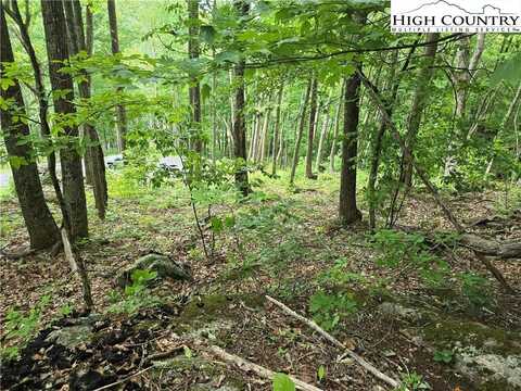 Lot C95 Foxfire Court, Banner Elk, NC 28604