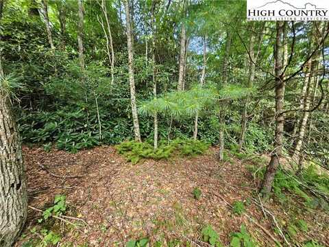 Lot 3 Spring Drive, Blowing Rock, NC 28605