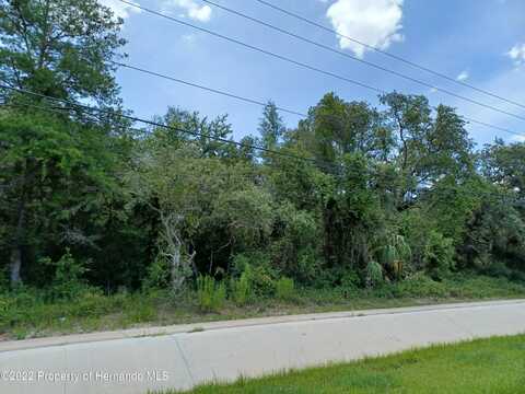 0 Commercial Way, Hudson, FL 34667