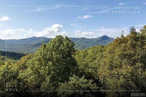 80 White Ash Lane, Sapphire, NC 28774