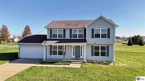 338 Trinity Drive, Rineyville, KY 40162