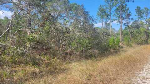 3217 Savannah Sparrow Avenue, Lake Placid, FL 33852