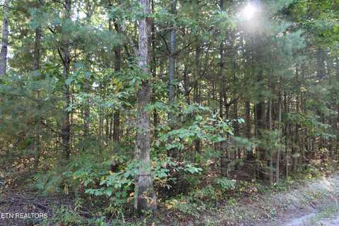 Stewart Creek Rd, Jamestown, TN 38556