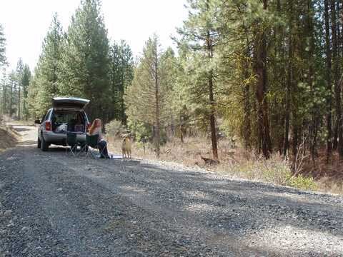 Oriole, Bonanza, OR 97623