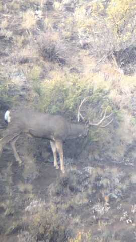 Tableland Road, Sprague River, OR 97639