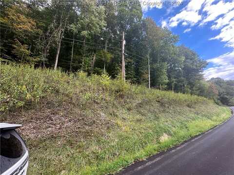 0 Coxs Fork Road, Danville, WV 25053