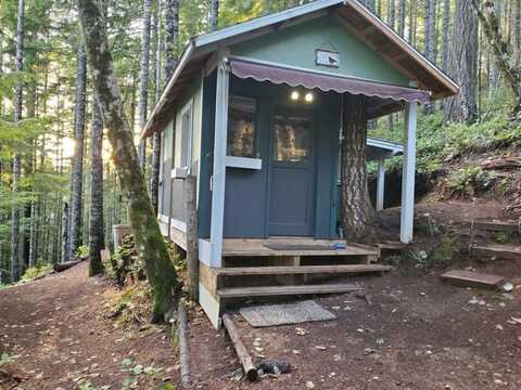 1910 N Dow Mountain Rd, Hoodsport, WA 98548