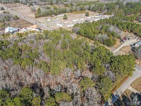 0 Brady Montgomery RD, Northport, AL 35475