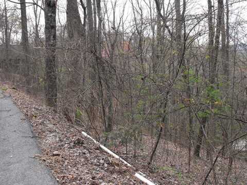 Lot 18 Parkside Village Drive, Sevierville, TN 37862