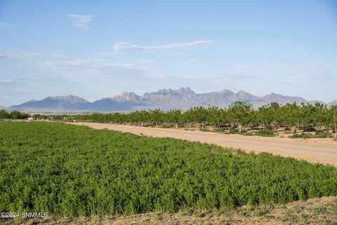 Tbd Country Walk Court, Las Cruces, NM 88005