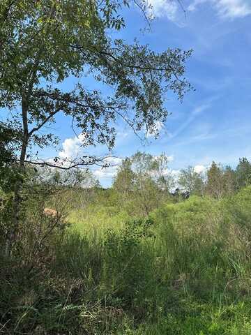 40 Acres Old Hwy 15, Ellisville, MS 39437