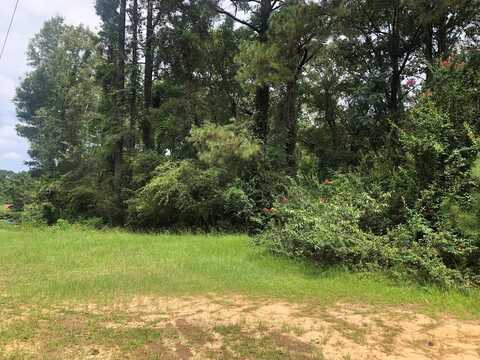 41 FLYNT ROAD, Laurel, MS 39440