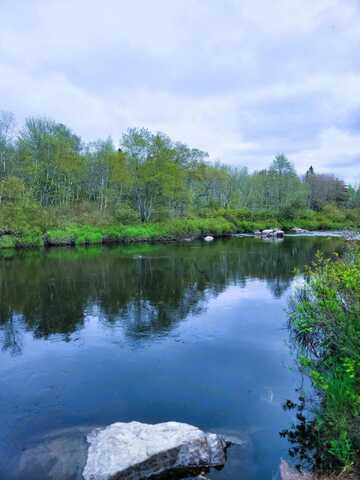 Lot 47 Lane Road, Cherryfield, ME 04622