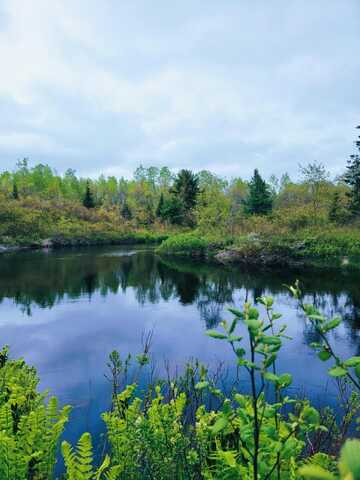 Lot 46 Lane Road, Cherryfield, ME 04622