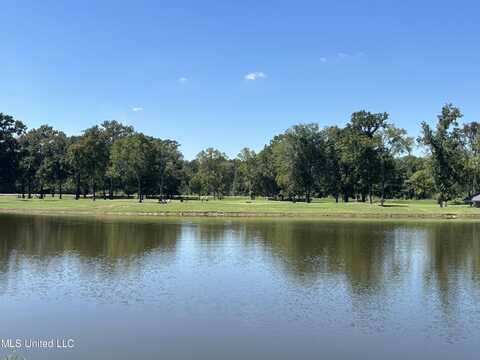 Audubon Woods, Canton, MS 39046