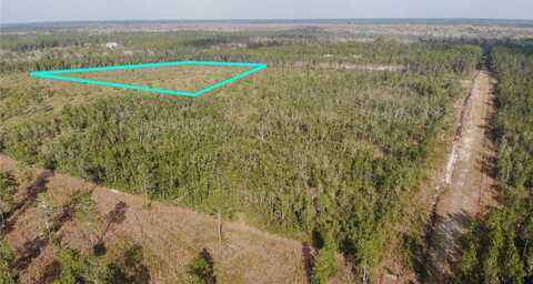 3 CHESSER HAMMOCK ROAD, PIERSON, FL 32180