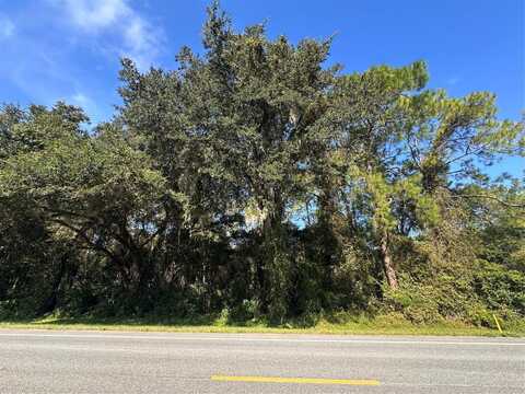 TREIMAN BOULEVARD, WEBSTER, FL 33597