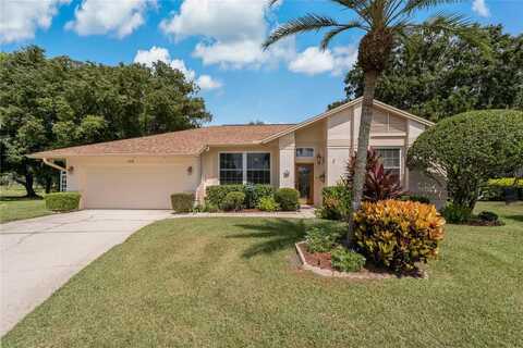 548 HOLLOWTREE PLACE, TARPON SPRINGS, FL 34688