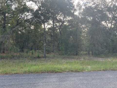 00 SE 139TH TERR LOT 11, MORRISTON, FL 32668