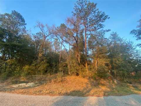 Lot 28 SW 206 CIRCLE, DUNNELLON, FL 34431