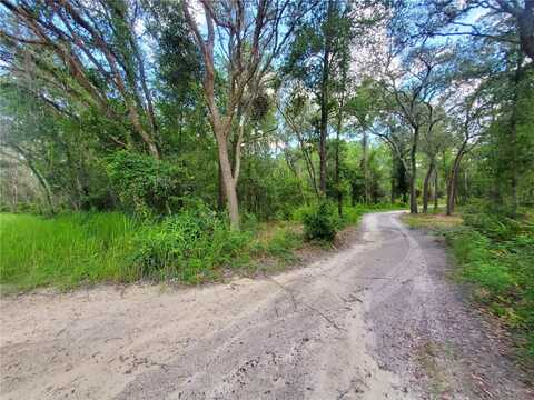 BERRYHILL DRIVE, WEBSTER, FL 33597