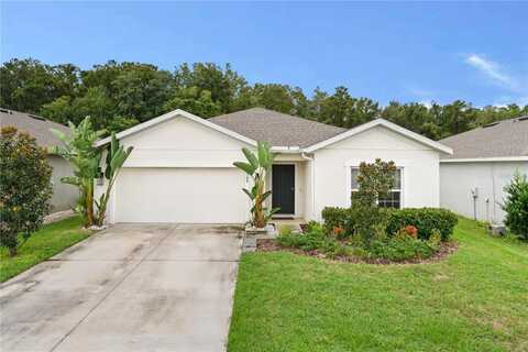 18588 HUNTERS MEADOW WALK, LAND O LAKES, FL 34638