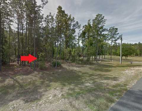 SW 61ST PLACE RD, OCALA, FL 34481