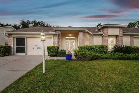 1227 FLORA VISTA STREET, TRINITY, FL 34655