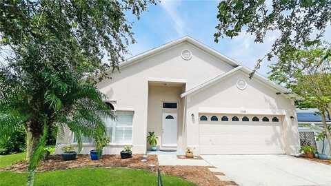 13309 MEADOWLARK LANE, ORLANDO, FL 32828