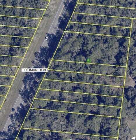 7284 TREIMAN BOULEVARD, WEBSTER, FL 33597