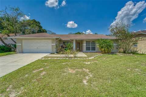 10113 TARRAGON DRIVE, RIVERVIEW, FL 33569