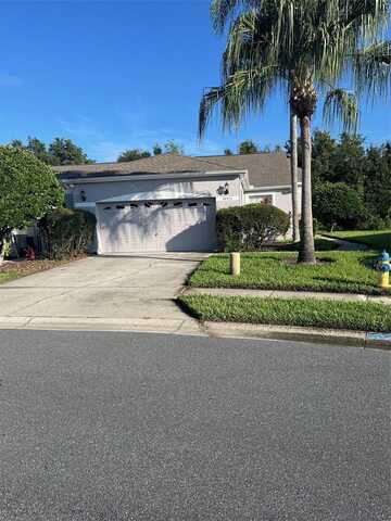 20521 HOMOSSASA COURT, LAND O LAKES, FL 34637