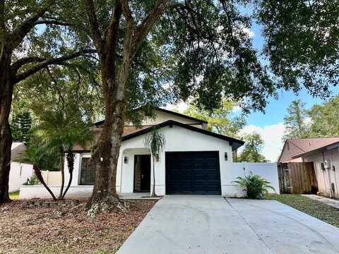 16318 CALIENTE PLACE, TAMPA, FL 33624