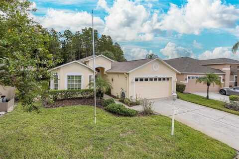 1153 DUSTAN PLACE, TRINITY, FL 34655