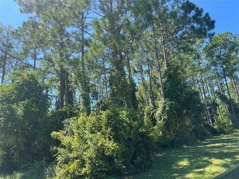 12 RENMONT PLACE, PALM COAST, FL 32164