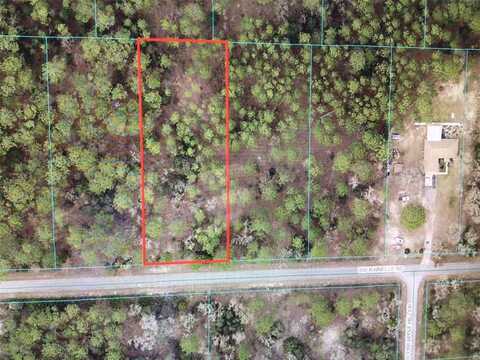 0 SW RAINELLE ROAD, DUNNELLON, FL 34431