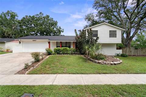 23817 LAKE WALK COURT, LUTZ, FL 33559