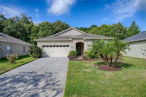 34435 ALAMEDA DRIVE, SORRENTO, FL 32776