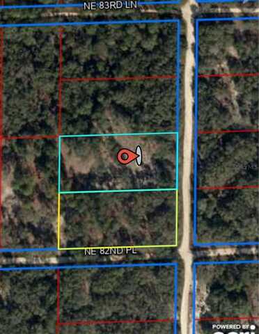 00 NE 122ND COURT, BRONSON, FL 32621