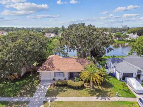 1119 MANDARIN DRIVE, HOLIDAY, FL 34691