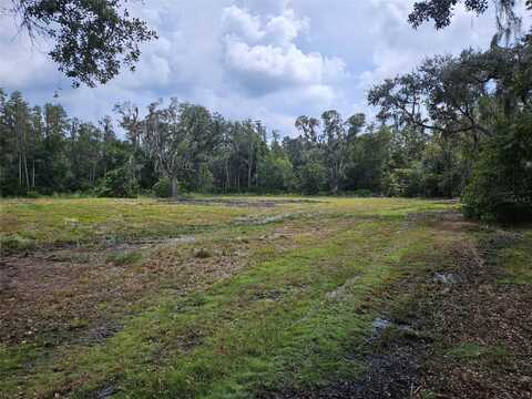 CANDIS RD., PLANT CITY, FL 33565