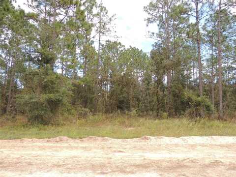 291 NE 135TH COURT, WILLISTON, FL 32696