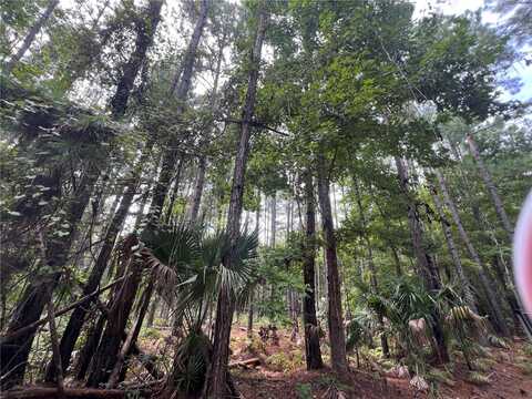 Lot 3 NASSAU COURT, GEORGETOWN, FL 32139