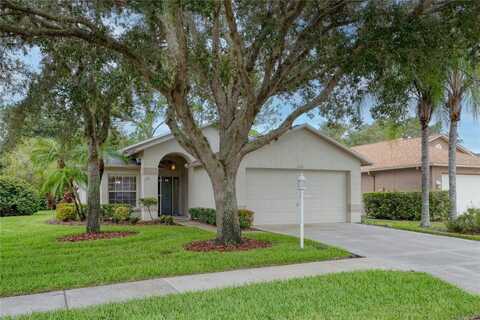 1331 HICKORY MOSS PLACE, TRINITY, FL 34655