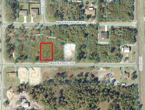 0 MALAUKA PASS WAY, OCKLAWAHA, FL 32179