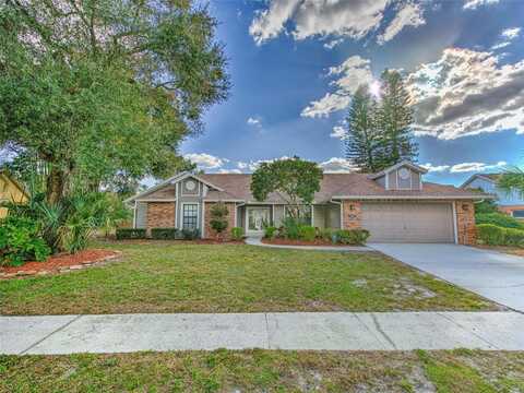 1407 HOLLEMAN DRIVE, VALRICO, FL 33596