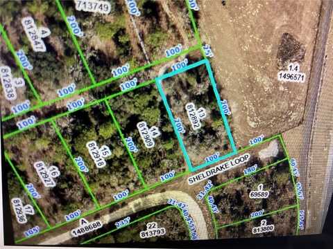 SHELDRAKE LOOP, BROOKSVILLE, FL 34614