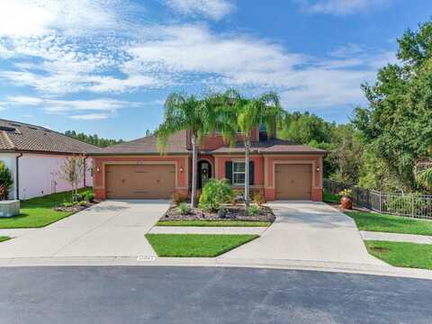 31982 BOURNEVILLE TERRACE, WESLEY CHAPEL, FL 33543