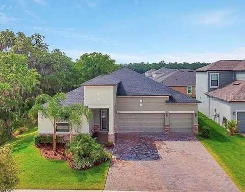 13241 ORCA SOUND DRIVE, RIVERVIEW, FL 33579